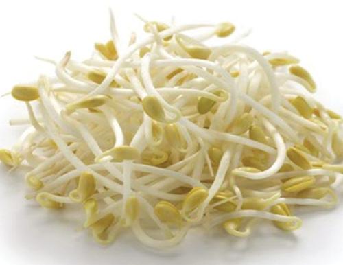 Giá đỗ